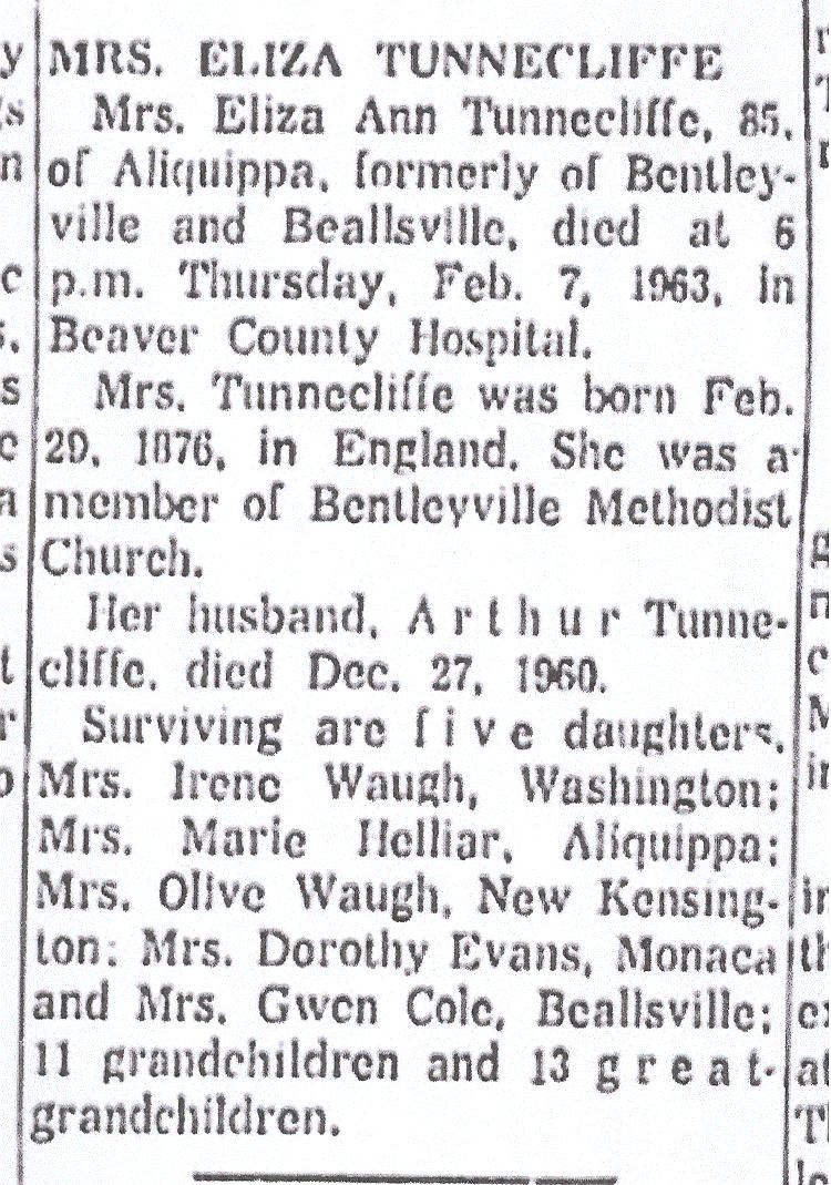 Eliza Ann Tunnecliffe